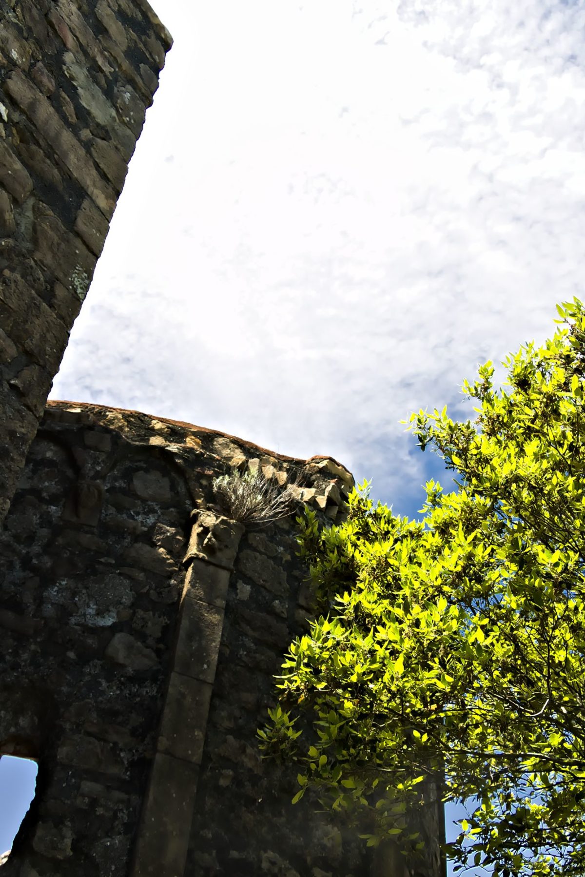 Rovine dell'eremo di Sant'Antonio a Punta Mesco. Cinque Terre