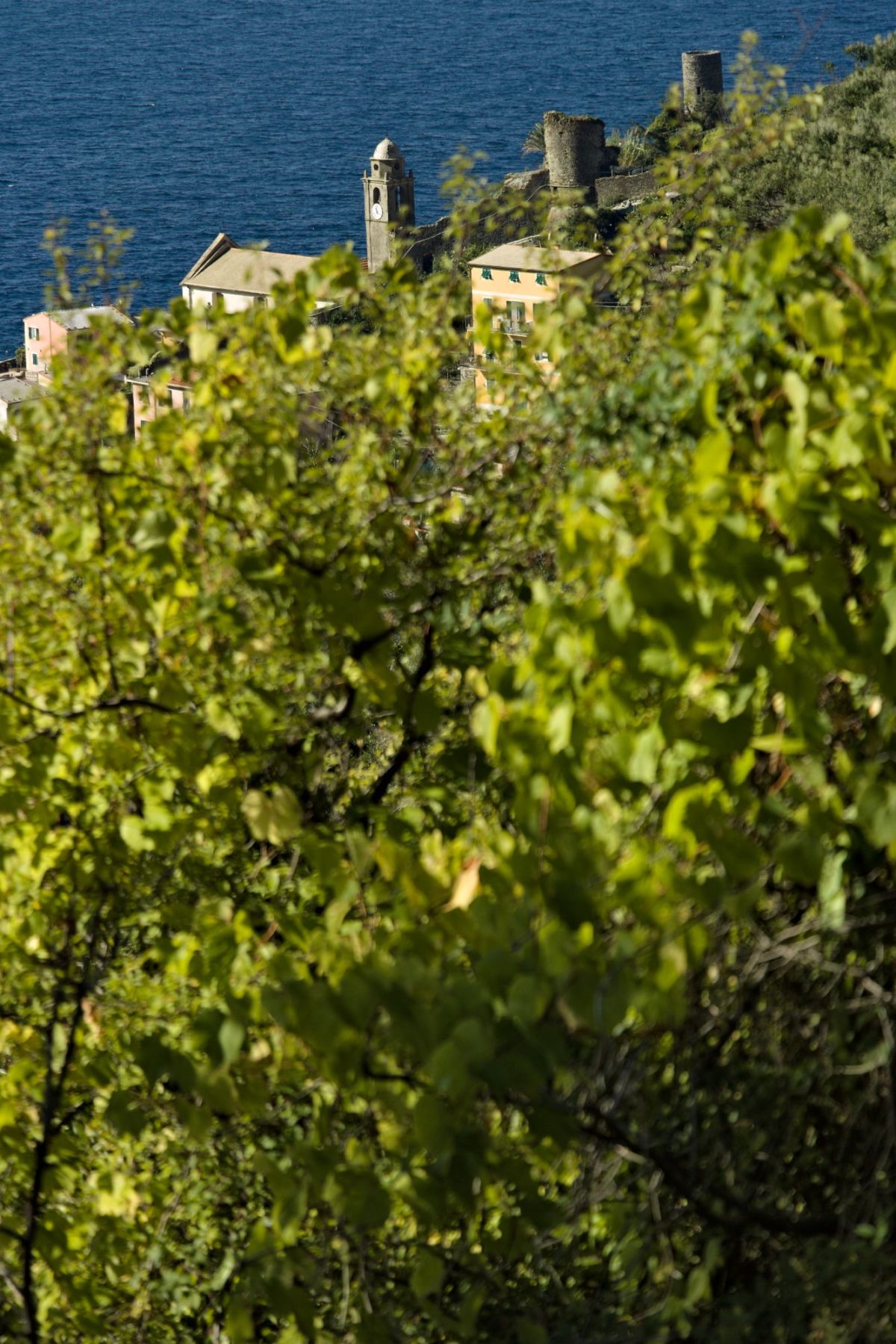 Castello di Vernazza, Cinque Terre