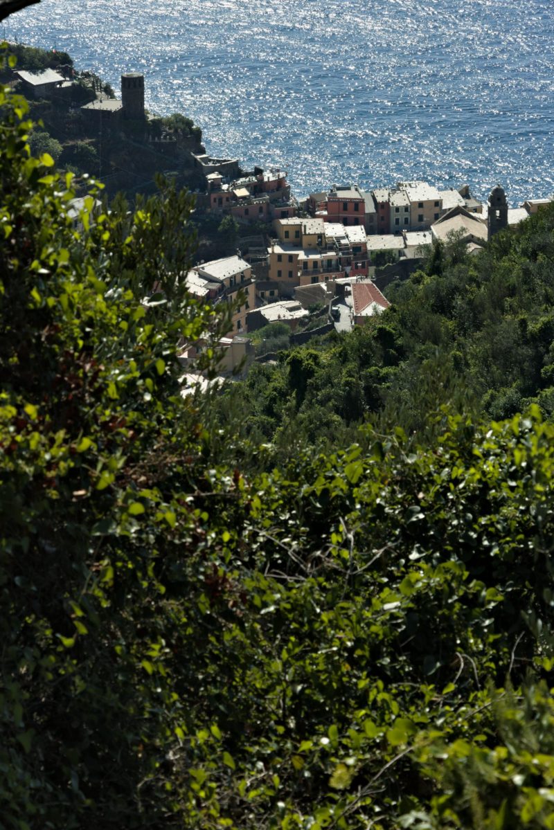 Il paese di Vernazza, Cinque Terre in una fotografia di Paolo Grassi