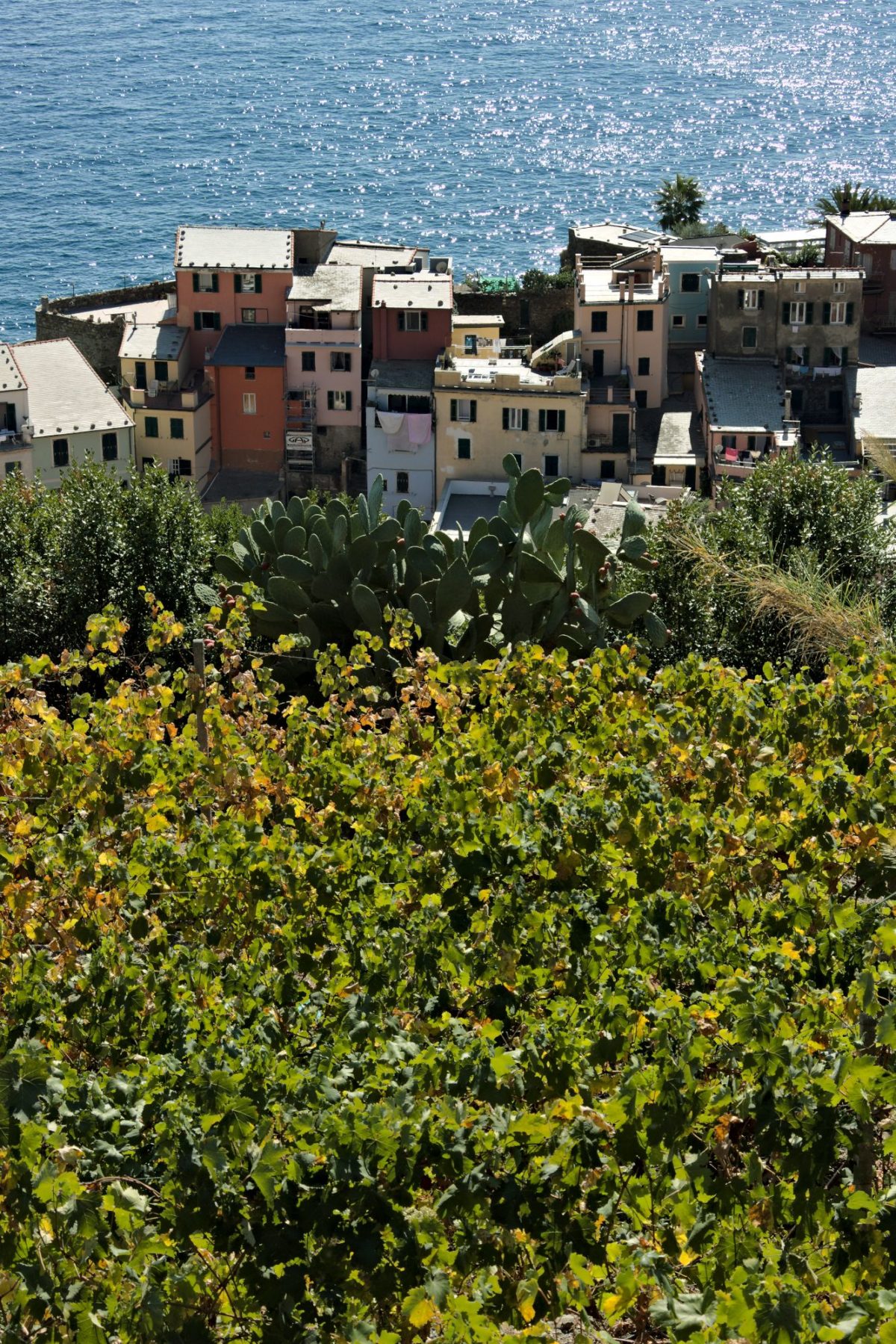 Vernazza. Three elements. Mare, architettura, natura alle Cinque Terre.